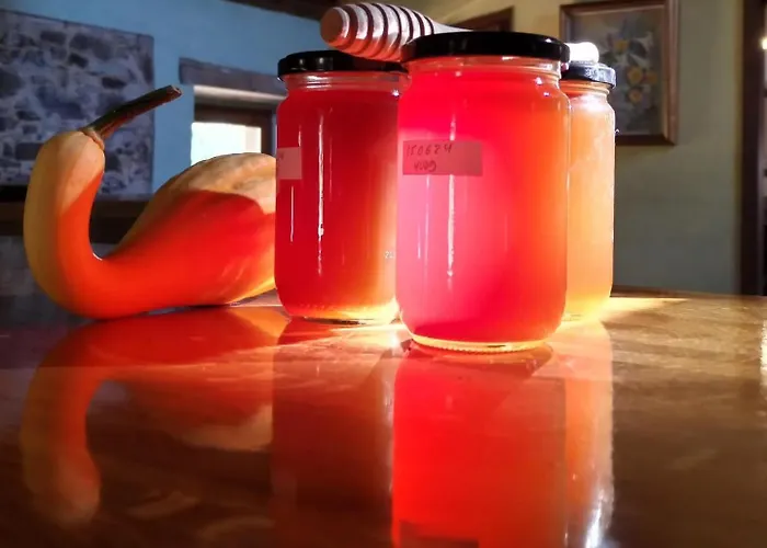 شقة Santuari Del Coll